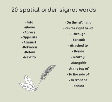 signal words in spatial order essay