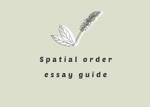 spatial order in writing